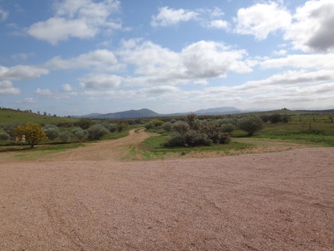 Windana Cottages - Suburb Australia 37