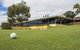 New Terry Hotel & Golf Resort - thumb 25