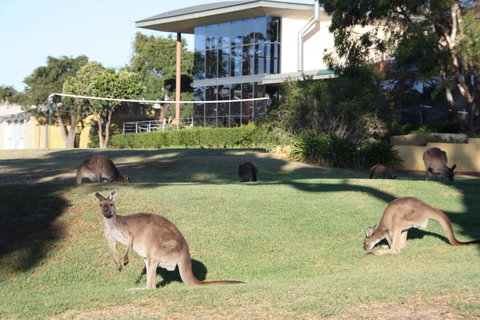 New Terry Hotel & Golf Resort - Suburb Australia 28