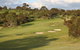 New Terry Hotel & Golf Resort - thumb 23