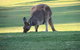 New Terry Hotel & Golf Resort - thumb 24