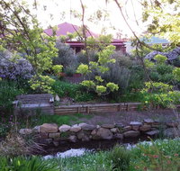 Frog Song at Willunga - Suburb Australia