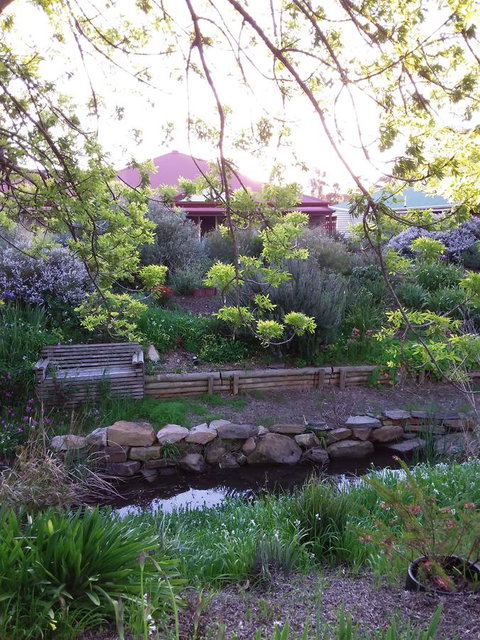 Frog Song At Willunga - Suburb Australia 0