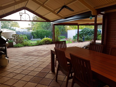 Frog Song At Willunga - Suburb Australia 13