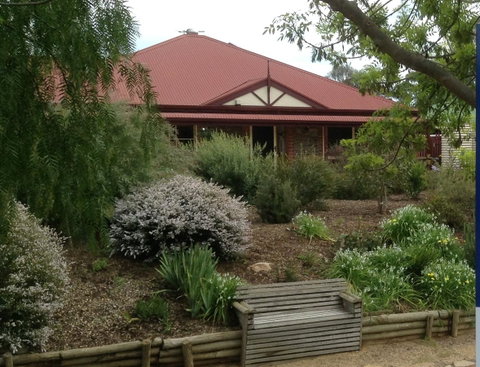 Frog Song At Willunga - Suburb Australia 1