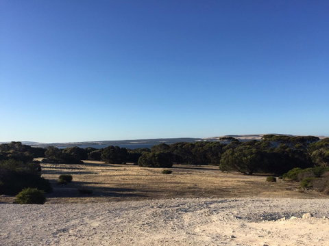 Wallaby Retreat - Suburb Australia 1