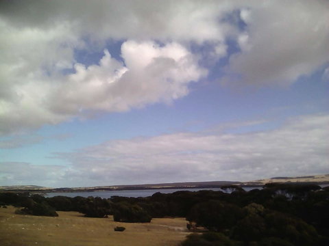 Wallaby Retreat - Suburb Australia 2