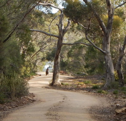 Kangaroo Island Wilderness Retreat - Suburb Australia 22