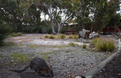 Kangaroo Island Wilderness Retreat - Suburb Australia 1