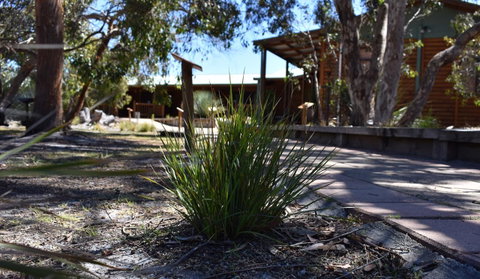 Kangaroo Island Wilderness Retreat - Suburb Australia 21