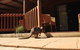 Kangaroo Island Wilderness Retreat - thumb 9