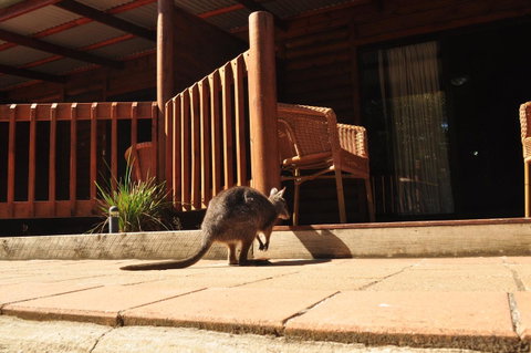 Kangaroo Island Wilderness Retreat - Suburb Australia 9