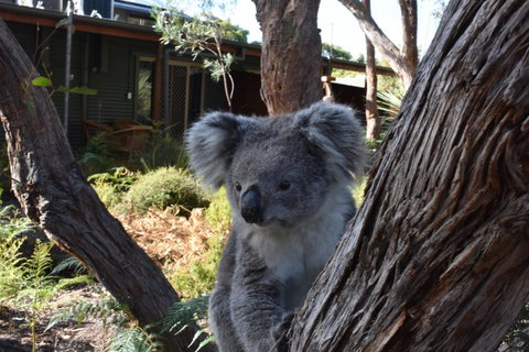 Kangaroo Island Wilderness Retreat - Suburb Australia 6