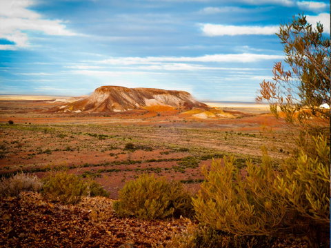 Ali's Underground - Suburb Australia 17