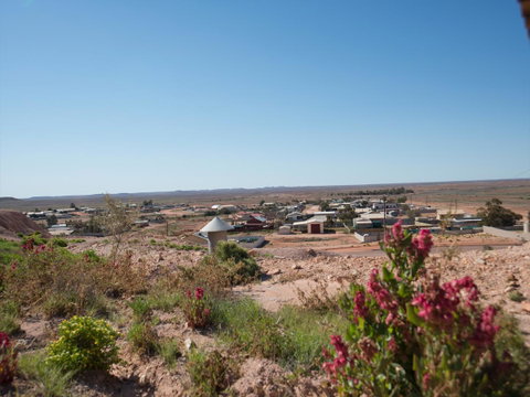Ali's Underground - Suburb Australia 14