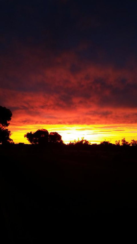 The Quorn-er House - Suburb Australia 27