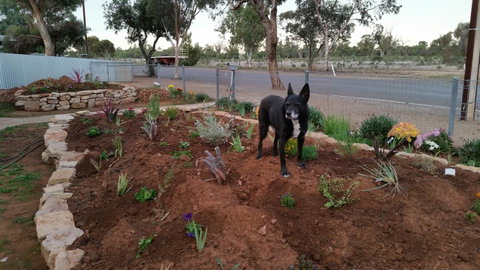 The Quorn-er House - Suburb Australia 6