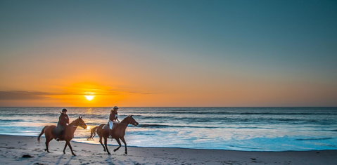 Links Lady Bay Resort - Suburb Australia 28