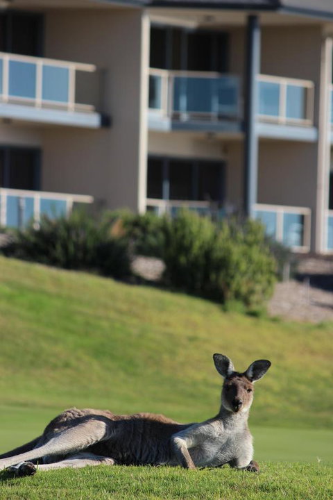 Links Lady Bay Resort - Suburb Australia 16