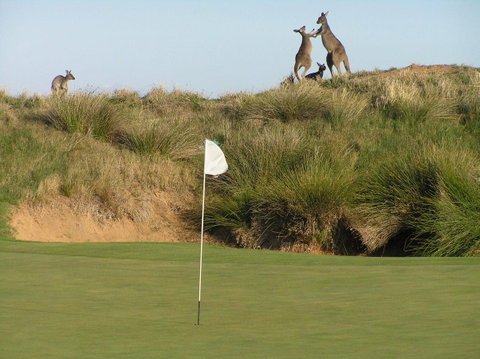 Links Lady Bay Resort - Suburb Australia 17