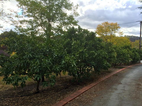 Vineyard Cottage BnB - Suburb Australia 11