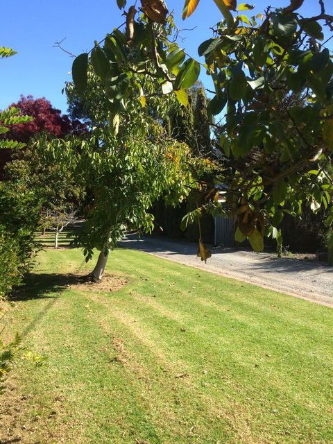Vineyard Cottage BnB - Suburb Australia 17