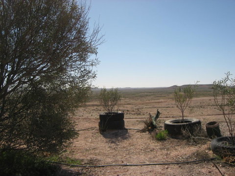 Venushill B+B - Suburb Australia 32