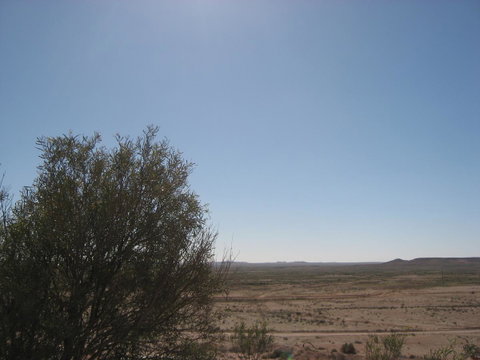 Venushill B+B - Suburb Australia 34