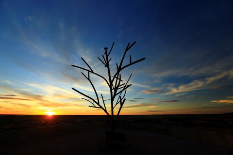 Venushill B+B - Suburb Australia 5