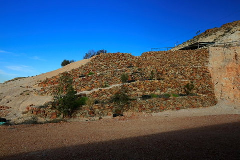 Venushill B+B - Suburb Australia 7