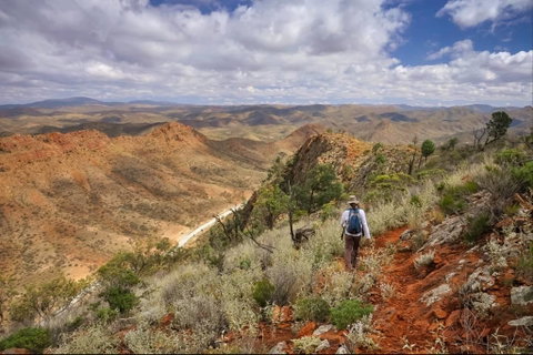 Arkaroola Wilderness Sanctuary - Suburb Australia 4