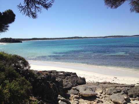 Camelot - Suburb Australia 7