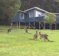 Blue House Denmark - Suburb Australia