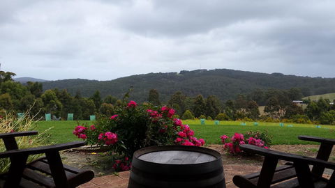 Karri Aura - Suburb Australia 3