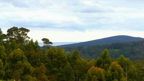 Karri Aura - Suburb Australia 10