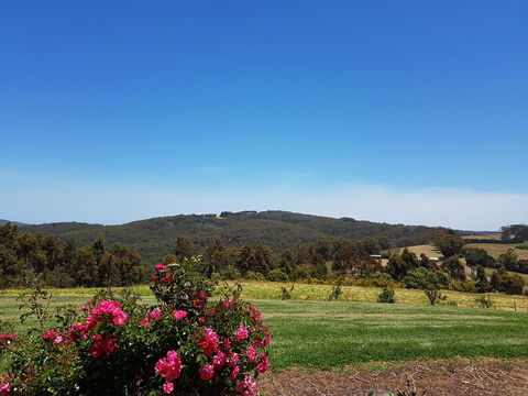 Karri Aura - Suburb Australia 9