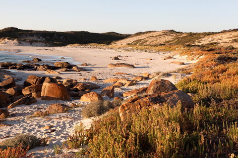 Margaret River Retreat - Suburb Australia 35