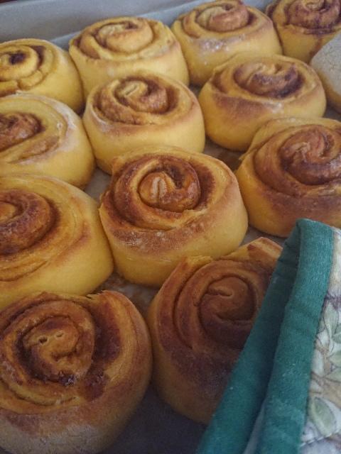 Margaret River Retreat - Suburb Australia 3