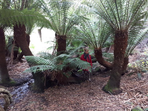 Robin's Nest B&B - Suburb Australia 9