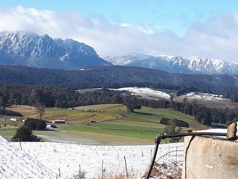 Robin's Nest B&B - Suburb Australia 12