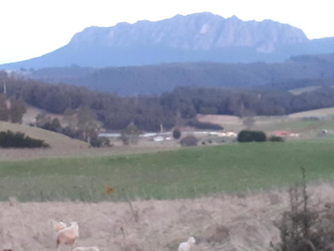 Robin's Nest B&B - Suburb Australia 32