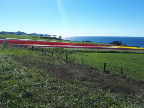 Robin's Nest B&B - Suburb Australia 26