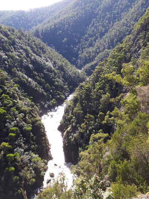 Robin's Nest B&B - Suburb Australia 22