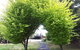 Robin's Nest B&B - thumb 10