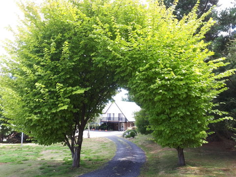 Robin's Nest B&B - Suburb Australia 10