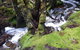 Robin's Nest B&B - thumb 27