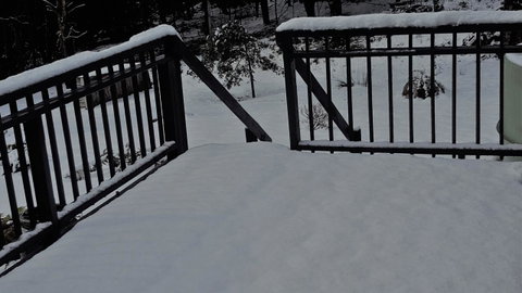 Cradle Alpine Retreat - Suburb Australia 34