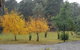 Cradle Alpine Retreat - thumb 3