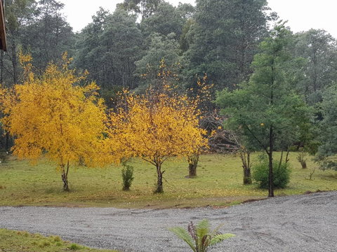 Cradle Alpine Retreat - Suburb Australia 3