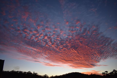 Ironbark House - Suburb Australia 6